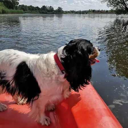 Сasa de vacaciones Ferienhaeuser Pannier Iii Und Iv Doppelhaushaelften Gartow