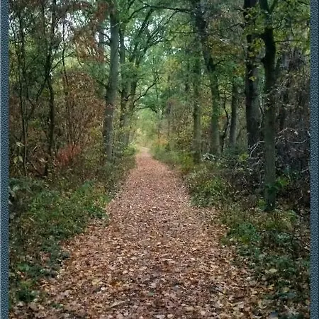 Ferienhaeuser Pannier Iii Und Iv Doppelhaushaelften 別荘 *