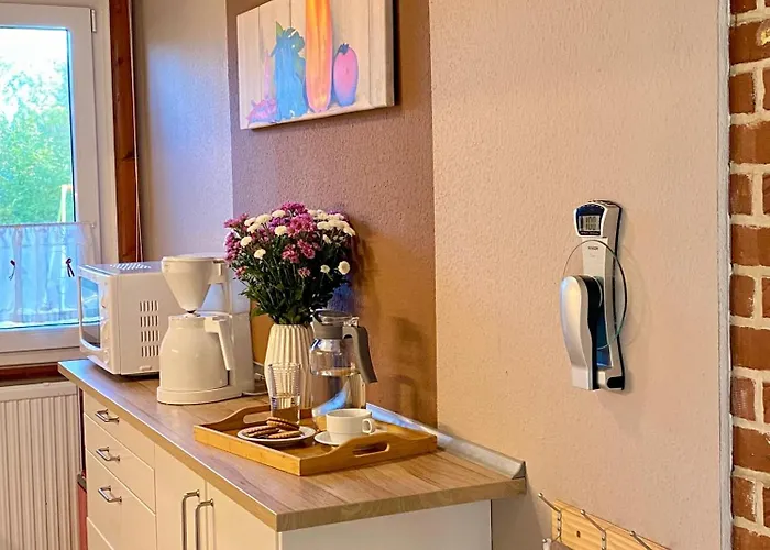 Ferienhaeuser Pannier Iii Und Iv Doppelhaushaelften Vakantiehuis Gartow