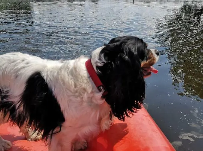 Vakantiehuis Ferienhaeuser Pannier Iii Und Iv Doppelhaushaelften Gartow