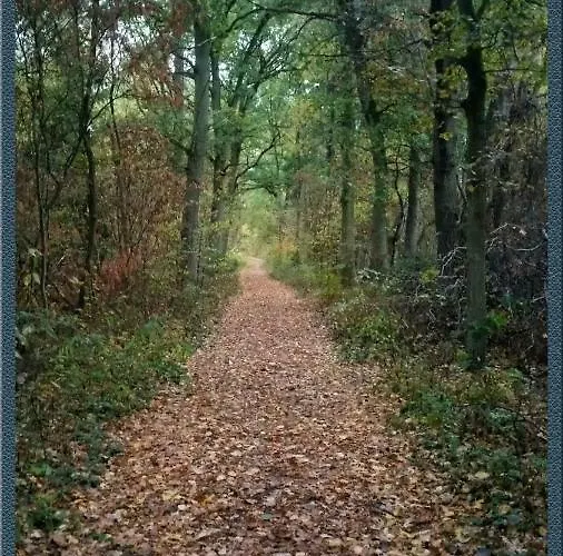 Ferienhaeuser Pannier Iii Und Iv Doppelhaushaelften Vakantiehuis *